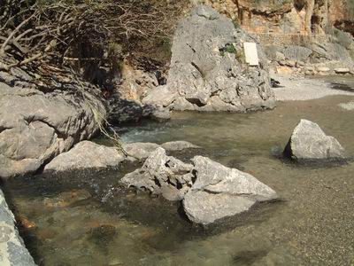 DSCF0177.JPG